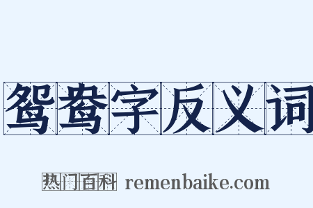 鸳鸯字反义词是什么意思的图片